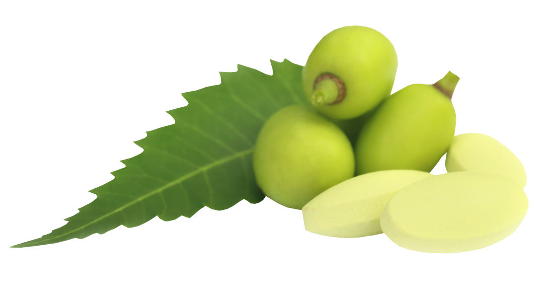 Medicinal Neem Fruits with Tablets